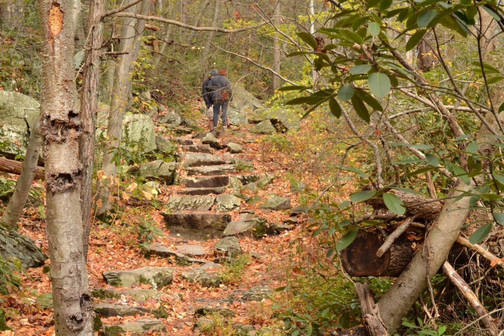 hikers hiking up a hill